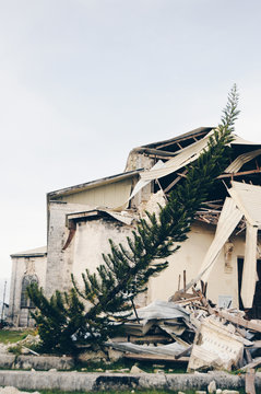 Tree falling on old ruin of church