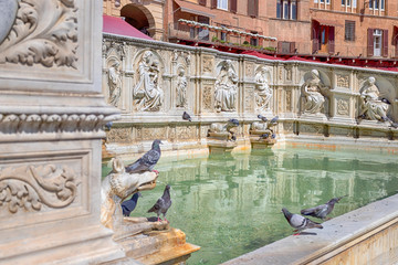 Fonte Gaia (Fountain of Joy)in Siena. Italy, Europe