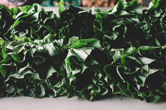 Close up of collard