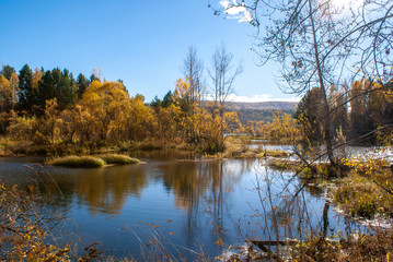 Autumn forest on the banks of the Siberian river