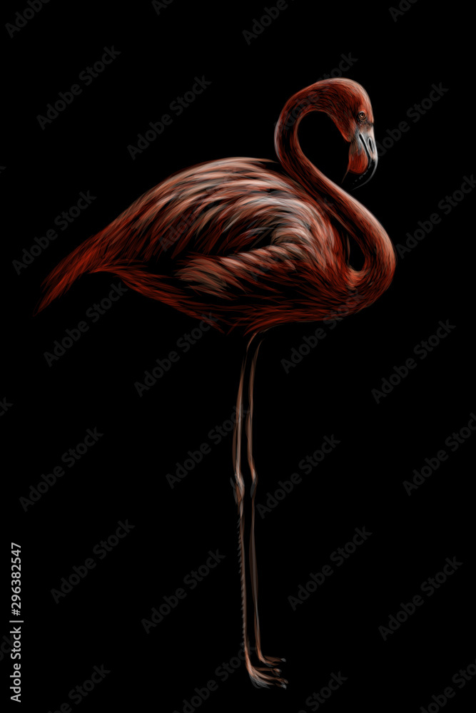 Wall mural pink flamingo. hand-drawn, artistic, flowered image of a flamingo bird on a black background.