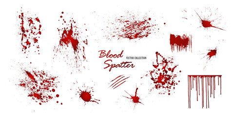 Set of various blood or paint splatters isolated on white background. Happy Halloween decoration,horrible blood drops, creepy splash, spot.Vector illustration