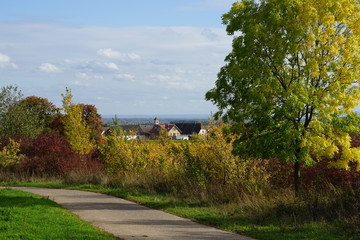 Wanderung in den Weinbergen von Edenkoben bei Sonnenschein