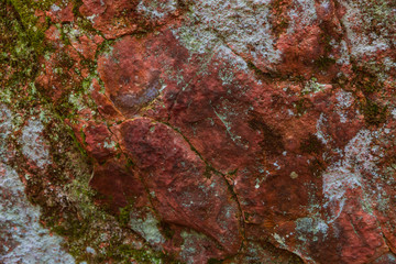 Texture of the red granite  