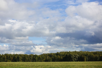 Green field and sky with clouds. Beautiful landscape