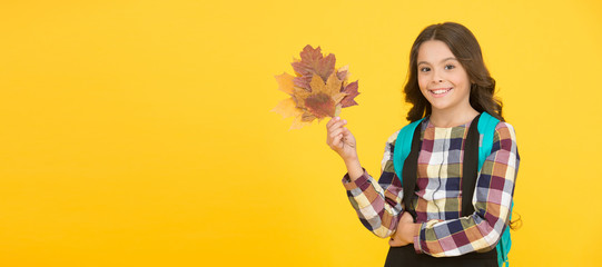 Educating small minds. Happy small girl. Small kid smiling with yellow leaves. Small child hold autumn foliage. Adorable little schoolchild with cute smile in fall. School and education, copy space