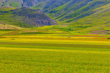 Plans Castelluccio in Italy