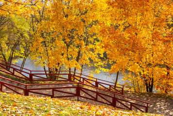 Naklejka premium Colorful trees and stairway with brown handrails in autumn, Central Chertanovo, Moscow, Russia