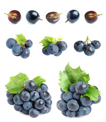 Set of fresh ripe grapes on white background