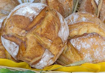 Pane Tipico Italiano - Pane Toscano