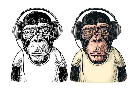 Monkey dressed t-shirt hear headphones. Vintage color engraving