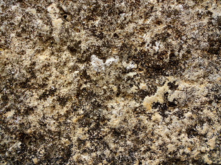 OLD WALL TEXTURE 221 