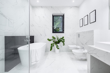 Luxury white bathroom with bathtub