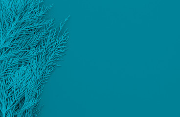 Creative Composition Useful for Christmas and New Year Greeting Card With Pine Branch and Blue Background With Copy Space on The Right Side