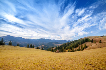 beautiful golden autumn in the mountains. natural background. autumn landscape