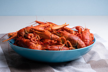 Boiled red river crayfish in a blue plate on the table.