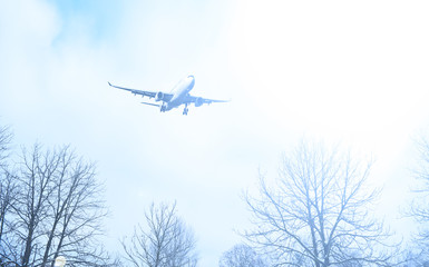 Airliner over the dry branches of trees. The sun shines.
