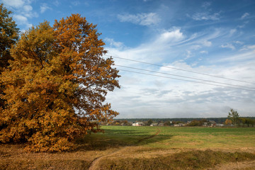 Bright sunny autumn day and rural nature.