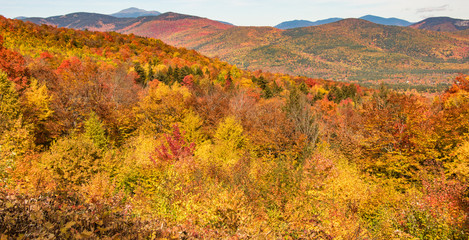 Fototapeta premium Amazing and stunning fall foliage colors