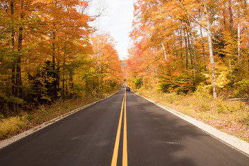 Fototapeta premium Autumn roads with amazing colors on both sides