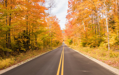 Fototapeta premium Autumn roads with amazing colors on both sides