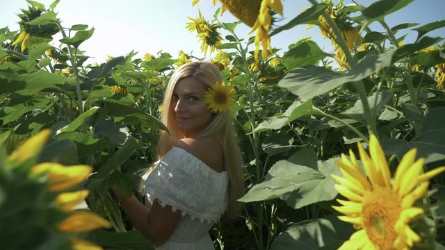 Beautiful blond girl in dress walks in sunflower field, slow motion