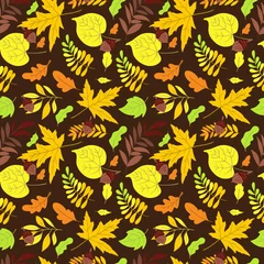 Selbstklebende Fototapeten Vector seamless pattern with aspen, oak and maple © darijashka