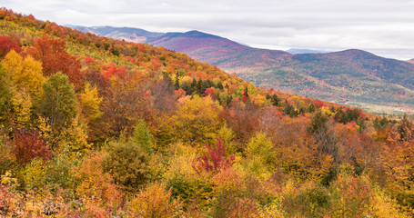 Fototapeta premium Amazing and stunning fall foliage colors