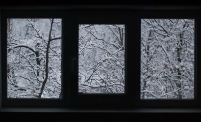Snowy trees outside the window  in winter