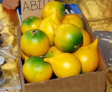 Abiu ripe and delicious
