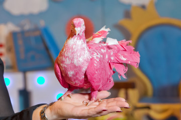 a dove on his hand . holding a red dove in his hand.