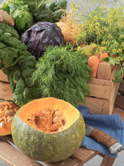 Closeup of a fresh pumpkin. Sliced Pumpkin. Freshly harvested vegetables (turnips, beets, carrots, greens, spinach, pumpkin). Natural organic products.