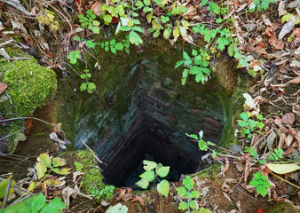 Small cave in the forest.