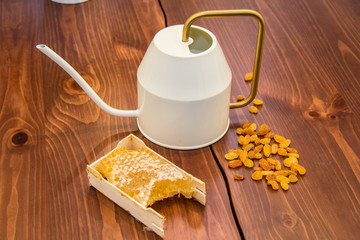 honey in honeycomb next to raisins on a wooden background
