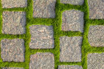 gray stone pavement made of square stone bricks with sprouted green moss. rough surface texture