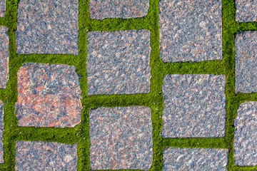 old gray red granite stone pavement made of square stone bricks with sprouted green moss. rough...