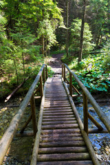 Pedestrian wooden bridge over the mountain river in forest