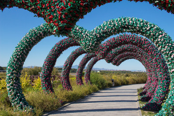 Rose arch