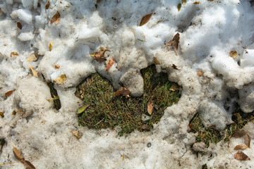 Obraz premium Fall snow