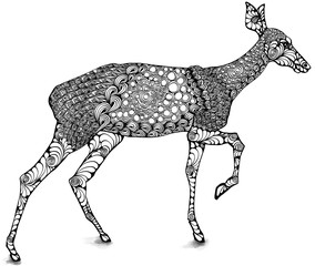 Illustration of a cute deer for coloring book, coloring page, hand-drawn for children and adults in zentangle, doodle style. Beautiful drawings with patterns, small details. For antistress, relaxing