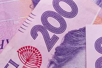 Ukrainian two hundredth hryvnia banknote. The texture of the currency of Ukraine.