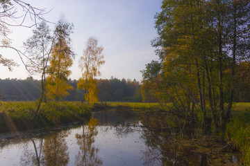 Fototapeta na wymiar Autumn landscape before sunset. Lake water and grass fields in the distance trees, village, greenery