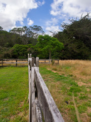 Wooden Farm Fence Across A Paddock