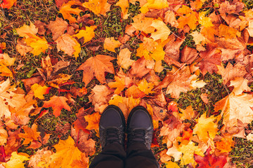 Top view of boots on autumn leaves background. Looking down on the grass in autumn park. Walking in autumn park