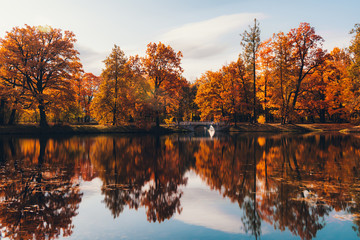 Naklejka premium Fall in the park. Red, yellow and green autumn trees near small lake or pond