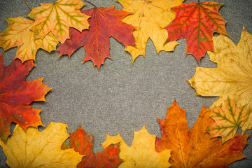 colorful autumn season leafs over grey cloth textures surface