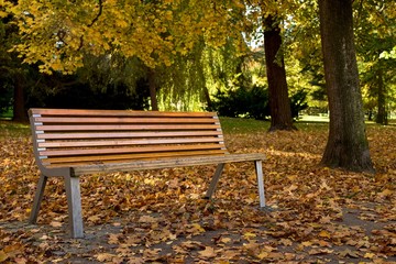 Autumn background, empty bench outside in park at autumn evening.