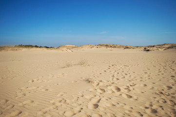 Oleshky Sands on a blue sky in the Kherson region in Ukraine, the largest desert in Europe