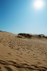 Oleshky Sands on a blue sky in the Kherson region in Ukraine, the largest desert in Europe