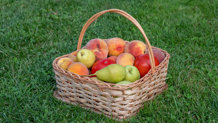 Fresh vegetables and fruits in basket